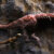 Visualization of a small tyrannosaur feeding on a carcass of a larger tyrannosaur. Image credit: Yu Xin, Shen Li & Liang Junwei, Aarhus Universitet.
