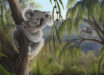 Reconstruction of Phascolarctos sulcomaxilliaris. Image credit: Nellie Pease.
