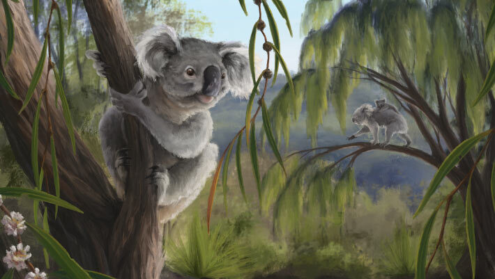 Reconstruction of Phascolarctos sulcomaxilliaris. Image credit: Nellie Pease.