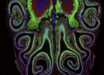 A cross section of a mouse nose. Image credit: Datta Lab, Harvard Medical School.