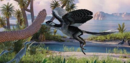Reconstruction of Archaeopteryx in its habitat. Image credit: Field Museum / NICE PaleoVisLab Studio / Institute of Vertebrate Paleontology and Paleoanthropology.