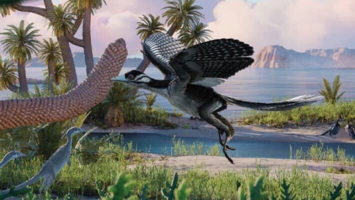 Reconstruction of Archaeopteryx in its habitat. Image credit: Field Museum / NICE PaleoVisLab Studio / Institute of Vertebrate Paleontology and Paleoanthropology.