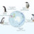 Geographic distribution of the four species of gentoo penguins around the Southern Ocean. Image credit: Noll et al., doi: 10.1038/s42003-026-10081-7.