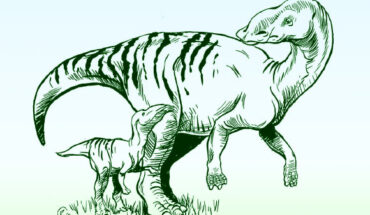 An artist’s reconstruction of adult Maiasaura and young. Image credit: Brian Regal.
