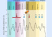 Chen et al. constructed a comprehensive genomic dataset of 470 flowering plant species and dated 132 ancient whole-genome duplication (WGD) events that are non-randomly distributed, revealing a clustering around pivotal periods of environmental upheaval and extinction. Image credit: Chen et al., doi: 10.1016/j.cell.2026.04.008.