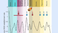 Chen et al. constructed a comprehensive genomic dataset of 470 flowering plant species and dated 132 ancient whole-genome duplication (WGD) events that are non-randomly distributed, revealing a clustering around pivotal periods of environmental upheaval and extinction. Image credit: Chen et al., doi: 10.1016/j.cell.2026.04.008.