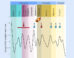 Chen et al. constructed a comprehensive genomic dataset of 470 flowering plant species and dated 132 ancient whole-genome duplication (WGD) events that are non-randomly distributed, revealing a clustering around pivotal periods of environmental upheaval and extinction. Image credit: Chen et al., doi: 10.1016/j.cell.2026.04.008.