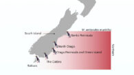 Geographical distribution of yellow-eyed penguins. Image credit: Guhlin et al., doi: 10.1038/s41559-026-03062-w.
