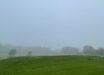 A foggy field in Pennsylvania has a little secret: its suspended water droplets form a habitat for helpful bacteria that eat air toxins. Image credit: Thi Thuong Thuong Cao.