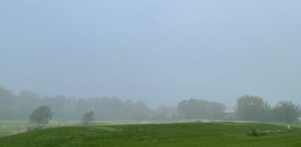 A foggy field in Pennsylvania has a little secret: its suspended water droplets form a habitat for helpful bacteria that eat air toxins. Image credit: Thi Thuong Thuong Cao.