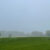 A foggy field in Pennsylvania has a little secret: its suspended water droplets form a habitat for helpful bacteria that eat air toxins. Image credit: Thi Thuong Thuong Cao.