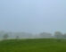 A foggy field in Pennsylvania has a little secret: its suspended water droplets form a habitat for helpful bacteria that eat air toxins. Image credit: Thi Thuong Thuong Cao.