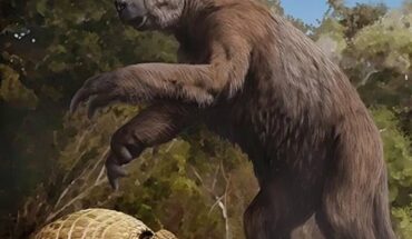 An artist’s interpretation of mammals that lived during the Ice Age: fossils from similar species of an armadillo-like pampathere (bottom left) and giant ground sloth (background) were among those found in a Texas water cave. Image credit: Jaime Chirinos.