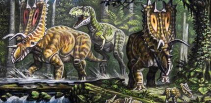 Bistahieversor sealeyi hunting Pentaceratops sternbergii. Image credit: A. Belov / CC BY 3.0.