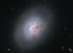 This Hubble image reveals the lenticular galaxy NGC 1266; reddish-brown clumps and filaments of dust partially obscure the galaxy’s full face, while red, blue, and orange light from distant galaxies shines through its diffuse outer regions and dots the inky-black background. Image credit: NASA / ESA / K. Alatalo, STScI / G. Kober, NASA & Catholic University of America.