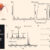 Analysis of Camponotus nicobarensis venom. Image credit: Koch et al., doi: 10.1126/sciadv.aed4078.