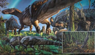 A reconstruction of the Late Cretaceous paleoenvironment of Alaska. Image credit: James Havens.