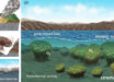 Lim et al. demonstrate that stromatolites -- the oldest fossil evidence of oxygen-producing microbial life on early Earth -- could have developed within impact craters, based on a detailed investigation of stromatolites and lake sediments in the Hapcheon impact crater, South Korea. Image credit: Lim et al., doi: 10.1038/s43247-026-03206-7.