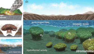 Lim et al. demonstrate that stromatolites -- the oldest fossil evidence of oxygen-producing microbial life on early Earth -- could have developed within impact craters, based on a detailed investigation of stromatolites and lake sediments in the Hapcheon impact crater, South Korea. Image credit: Lim et al., doi: 10.1038/s43247-026-03206-7.