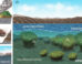 Lim et al. demonstrate that stromatolites -- the oldest fossil evidence of oxygen-producing microbial life on early Earth -- could have developed within impact craters, based on a detailed investigation of stromatolites and lake sediments in the Hapcheon impact crater, South Korea. Image credit: Lim et al., doi: 10.1038/s43247-026-03206-7.