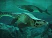 Life reconstruction of Tylosaurus rex in the Cretaceous-era Western Interior Seaway of North America. Image credit: Alderon Games / Path of Titans.