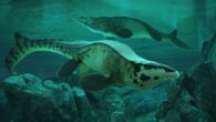 Life reconstruction of Tylosaurus rex in the Cretaceous-era Western Interior Seaway of North America. Image credit: Alderon Games / Path of Titans.