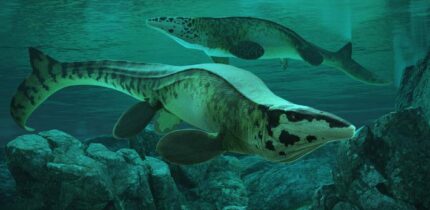 Life reconstruction of Tylosaurus rex in the Cretaceous-era Western Interior Seaway of North America. Image credit: Alderon Games / Path of Titans.