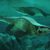 Life reconstruction of Tylosaurus rex in the Cretaceous-era Western Interior Seaway of North America. Image credit: Alderon Games / Path of Titans.