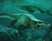 Life reconstruction of Tylosaurus rex in the Cretaceous-era Western Interior Seaway of North America. Image credit: Alderon Games / Path of Titans.