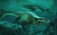 Life reconstruction of Tylosaurus rex in the Cretaceous-era Western Interior Seaway of North America. Image credit: Alderon Games / Path of Titans.