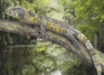 Paleoartistic reconstruction of Acutodon villeveyracensis, the oldest known member of the pan-shinisaur lineage ever found in Europe. Image credit: Olivier Jansen.