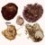 Fossil eukaryotes from Northern Territory, Australia. Image credit: Lechte et al., doi: 10.1038/s41586-026-10533-4.