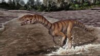 Labrujasuchus expectatus navigated the world on two legs with tiny arms and a toothless mouth tipped in a beak. Image credit: Jorge Gonzalez / NHMLAC Dinosaur Institute.