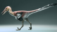 Life reconstruction of Kank australis. Image credit: Gabriel Díaz Yantén.
