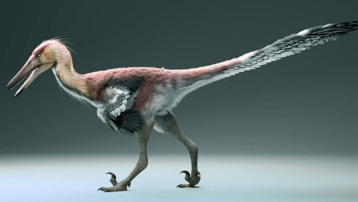 Life reconstruction of Kank australis. Image credit: Gabriel Díaz Yantén.