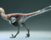Life reconstruction of Kank australis. Image credit: Gabriel Díaz Yantén.