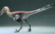 Life reconstruction of Kank australis. Image credit: Gabriel Díaz Yantén.