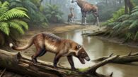 Metapterodon anari. Image credit: Steven Jasinski / SergeyAtrox1.