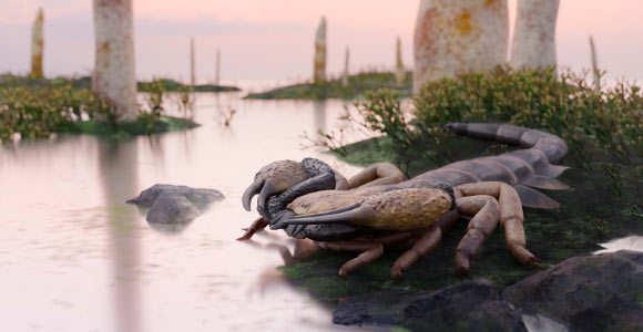 Praearcturus gigas. Image credit: Franz Anthony.