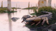 Praearcturus gigas. Image credit: Franz Anthony.