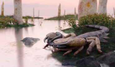 Praearcturus gigas. Image credit: Franz Anthony.