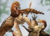 Jian changmaensis (left) attacks the early bird Gansus yumenensis (right) in what is now the Changma Basin of northwestern China approximately 120 million years ago. Image credit: Lewis LaRosa / Jão Canola.
