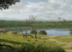 Paleoartistic reconstruction of the environment in the surrounding of Camp dels Ninots maar lake during the Early Pliocene. Image credit: Mauricio Antón.