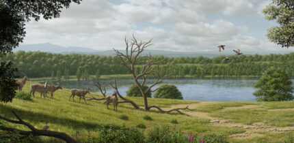 Paleoartistic reconstruction of the environment in the surrounding of Camp dels Ninots maar lake during the Early Pliocene. Image credit: Mauricio Antón.