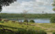 Paleoartistic reconstruction of the environment in the surrounding of Camp dels Ninots maar lake during the Early Pliocene. Image credit: Mauricio Antón.