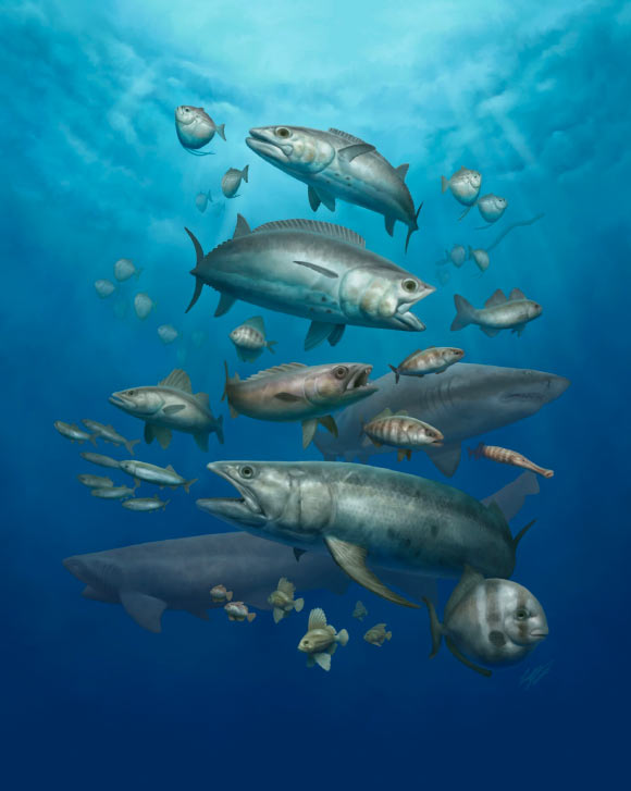 Fish Fossils from Early Paleocene Fill 10-Million-Year Gap after Dinosaur Extinction