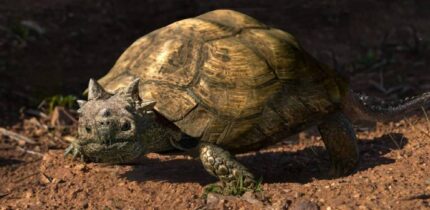 An artist’s impression of Patagoniaemys aeschyli. Image credit: Nawel Vazquez / Museo Argentino de Ciencias Naturales ‘Bernardino Rivadavia’ / CONICET.
