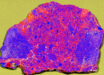 XRF map of 7.53 g slice of NWA 12593: calcium (Ca) and iron (Fe) illustrate the location and diversity of clasts; sulfur (S) highlights the location of cracks and terrestrial weathering. Image credit: Crow et al., doi: 10.1130/G54386.1.