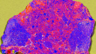 XRF map of 7.53 g slice of NWA 12593: calcium (Ca) and iron (Fe) illustrate the location and diversity of clasts; sulfur (S) highlights the location of cracks and terrestrial weathering. Image credit: Crow et al., doi: 10.1130/G54386.1.