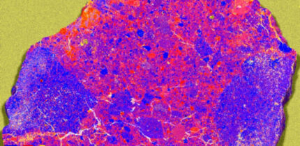 XRF map of 7.53 g slice of NWA 12593: calcium (Ca) and iron (Fe) illustrate the location and diversity of clasts; sulfur (S) highlights the location of cracks and terrestrial weathering. Image credit: Crow et al., doi: 10.1130/G54386.1.